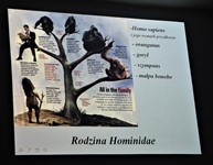 Afryka – kolebka ludzkości